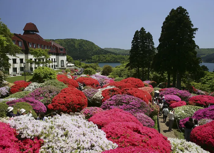 Odakyu Hotel De Yama